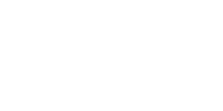 Red Tiger partner logo